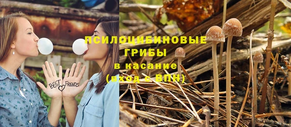 гидропоника Балабаново