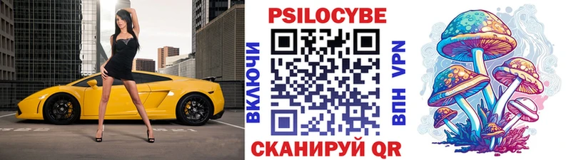 Галлюциногенные грибы Psilocybine cubensis  kraken как войти  Суворов 