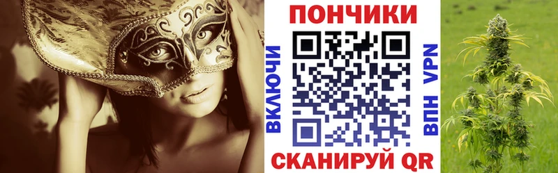 купить цена Суворов Каннабис конопля